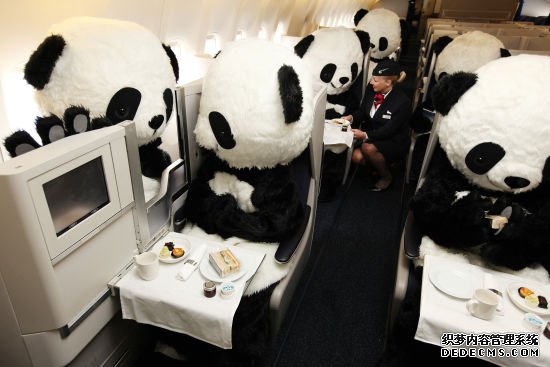 “大熊猫”乘客体验客舱
